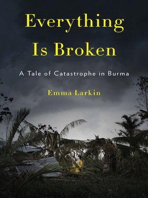 cover image of Everything Is Broken